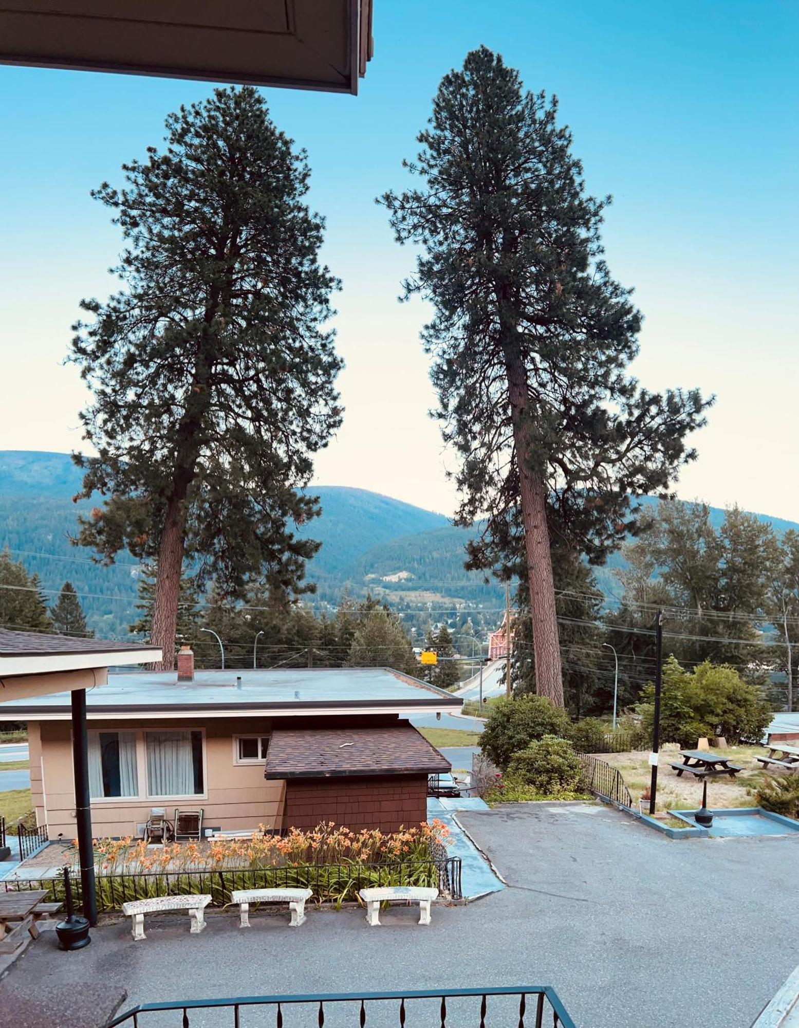 Villa Motel Nelson Zewnętrze zdjęcie